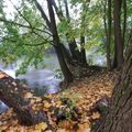 An der Rednitz 1