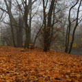 An der Rednitz 2