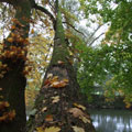 An der Rednitz 3