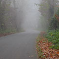 Straße im Nebel