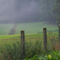 Nach dem Regen