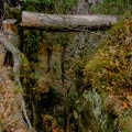 An der Basteibrücke in der Sächsischen Schweiz