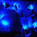 Blaues Licht