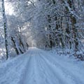 Verschneite Gerasmühler Straße in Stein