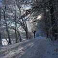 Verschneite Gerasmühler Straße in Stein im Gegenlicht