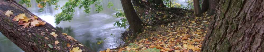 herbst