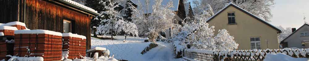 winter